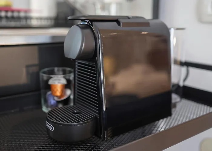 Feria 2 오파티아